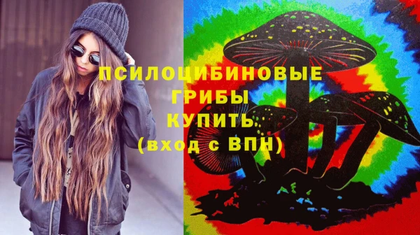 a pvp Аркадак