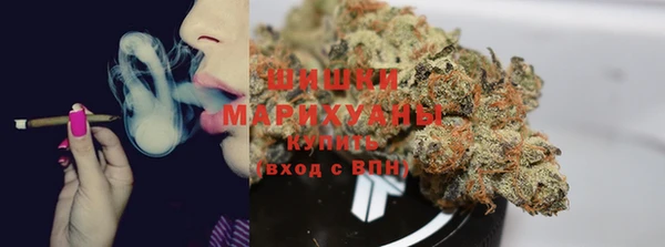 a pvp Аркадак