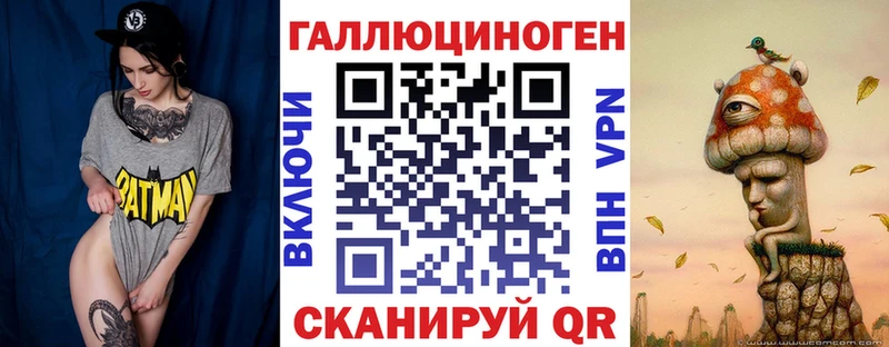наркотики  Пугачёв  Галлюциногенные грибы Psilocybine cubensis 