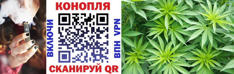 Конопля гибрид блэк спрут как войти Пугачёв купить наркоту